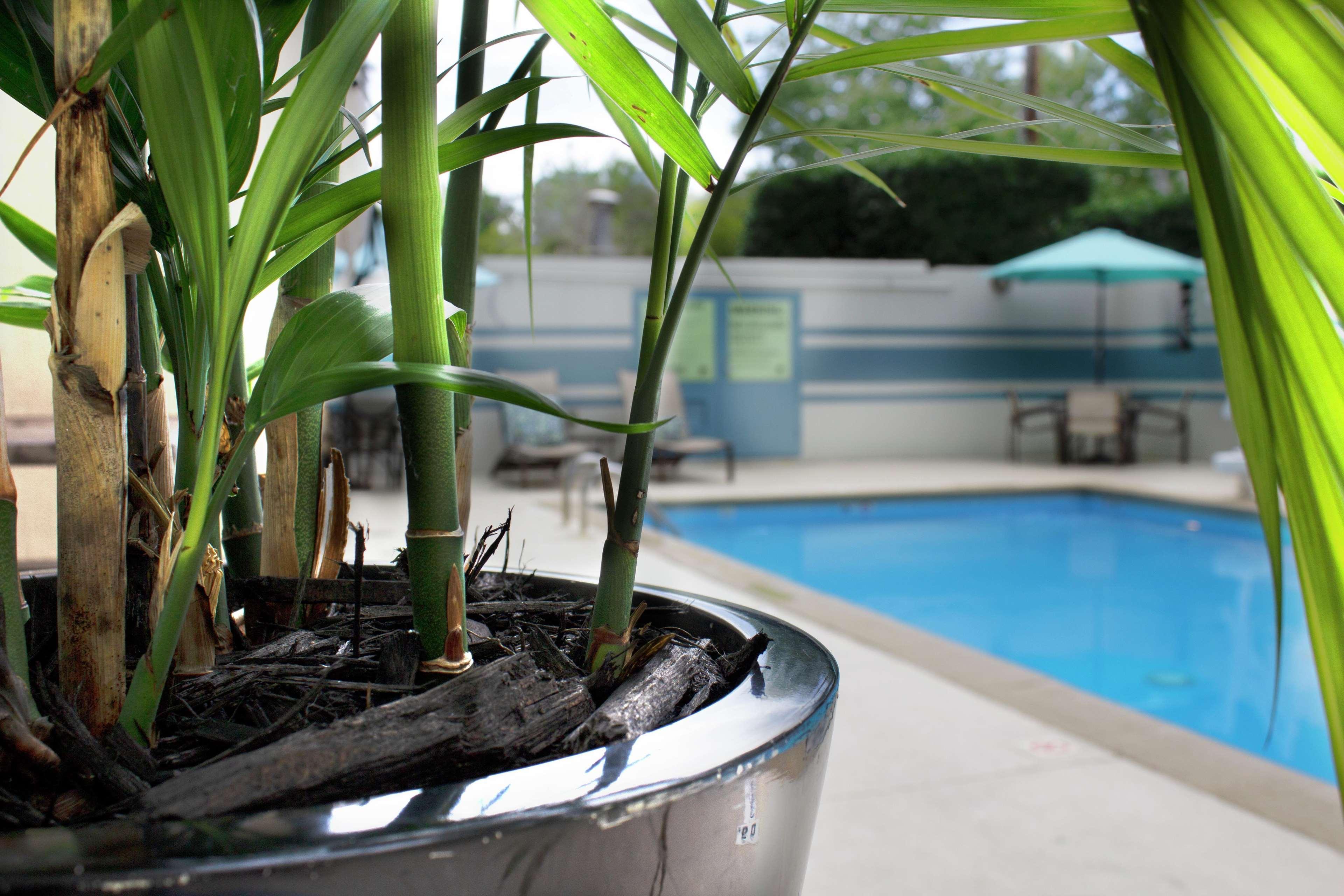 Готель Doubletree By Hilton Charlotte Uptown Екстер'єр фото